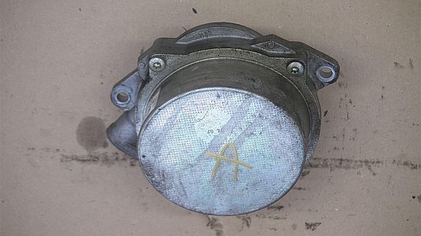 Vakuumpumpe AUDI A6 Avant (4F5, C6)
