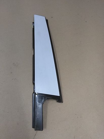 Door glass trim molding