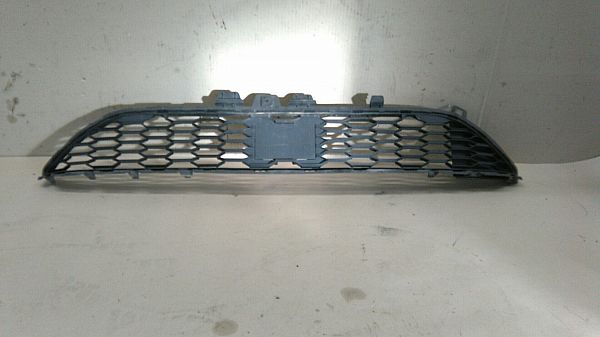 Kølergitter DACIA