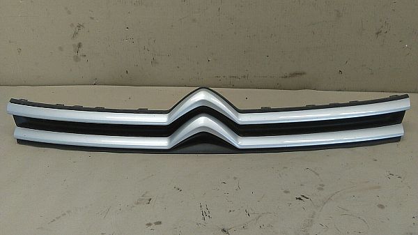 Kølergitter CITROËN DISPATCH Box (V_)