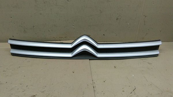 Kølergitter CITROËN DISPATCH Box (V_)