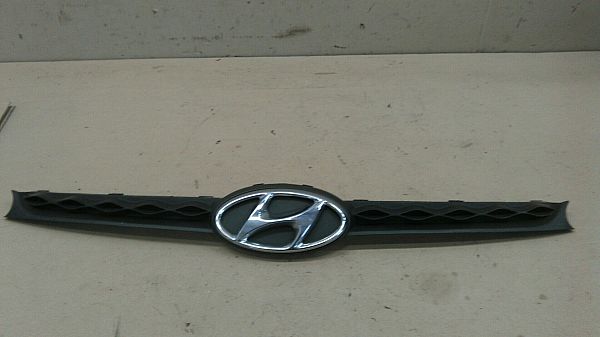 Kühlergrill HYUNDAI i10 (BA, IA)