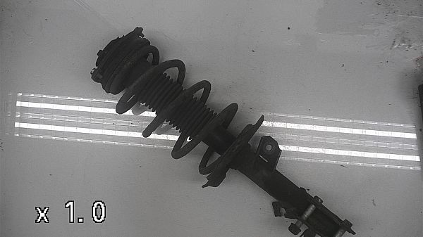 Federbein vorn NISSAN QASHQAI / QASHQAI +2 I (J10, NJ10, JJ10E)
