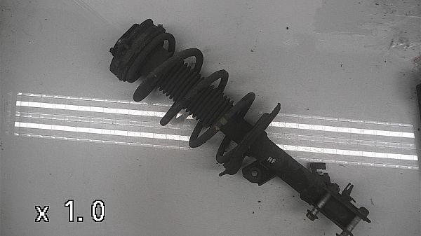 Federbein vorn NISSAN QASHQAI / QASHQAI +2 I (J10, NJ10, JJ10E)