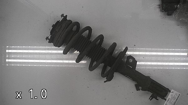 Federbein vorn NISSAN QASHQAI / QASHQAI +2 I (J10, NJ10, JJ10E)