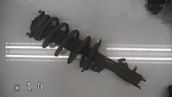 Federbein vorn NISSAN QASHQAI / QASHQAI +2 I (J10, NJ10, JJ10E)
