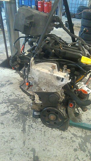 Motor RENAULT TWINGO II (CN0_)