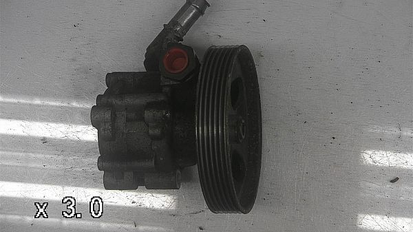 Servopumpe CITROËN C5 II Break (RE_)