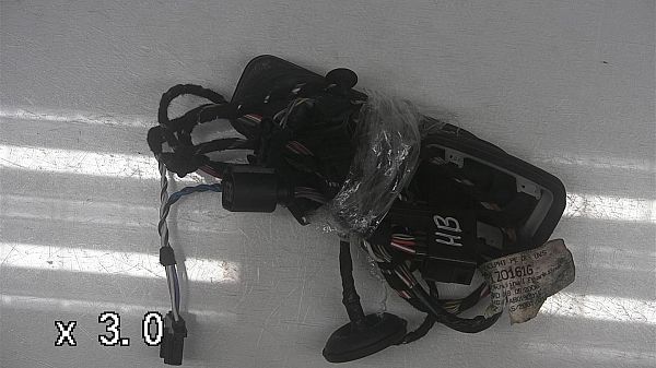 Wiring harness door SKODA OCTAVIA II Combi (1Z5)