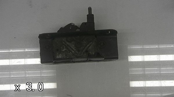 Motorkap slot FORD TRANSIT CONNECT (P65_, P70_, P80_)