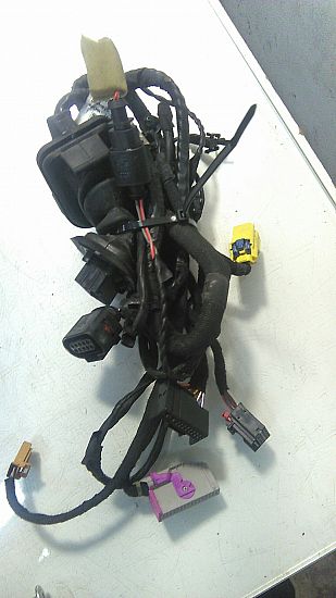 Faisceau de câblage pour porte SEAT LEON (1P1)