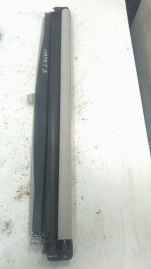 Soltagsdele RENAULT GRAND SCÉNIC III (JZ0/1_)