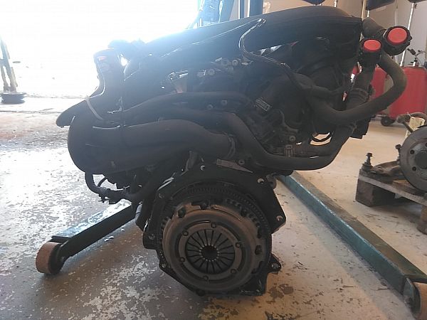 Motor SKODA FABIA III Estate (NJ5)