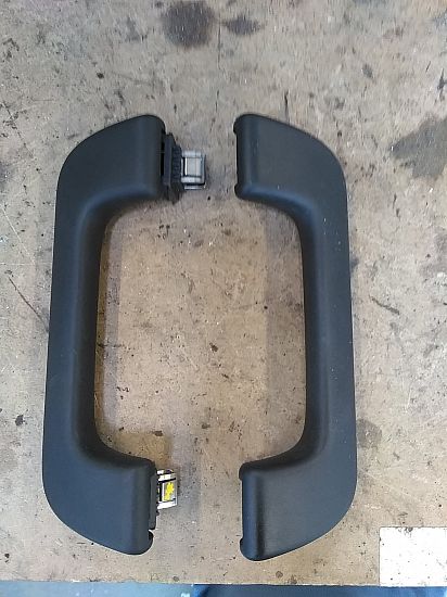 Roof grab handles