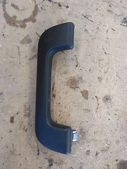 Roof grab handles