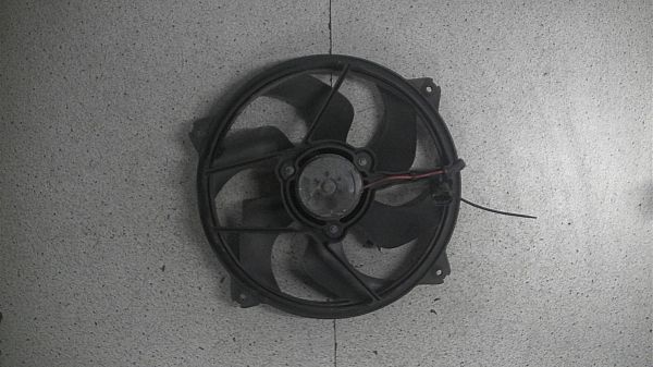 Radiator fan electrical PEUGEOT 307 (3A/C)