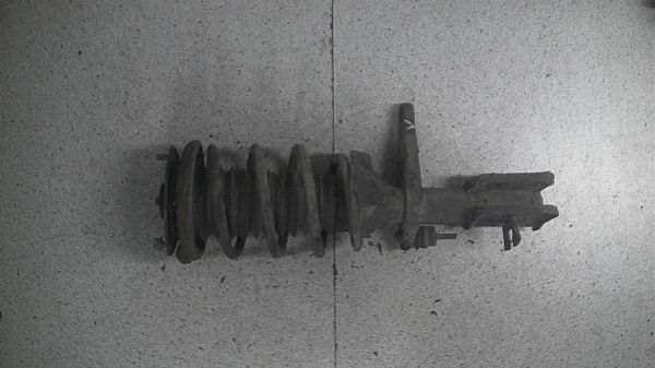 Federbein vorn LAND ROVER FREELANDER (L314)