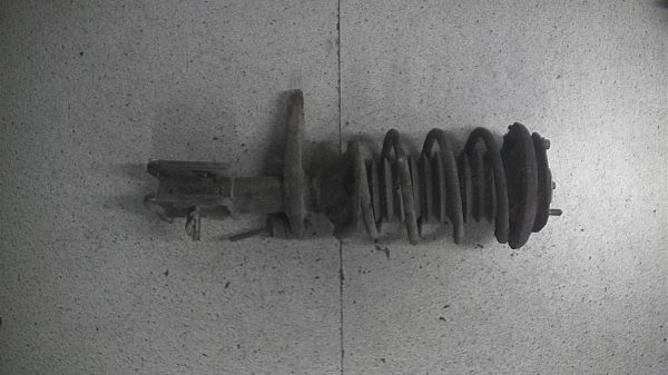 Federbein vorn LAND ROVER FREELANDER (L314)