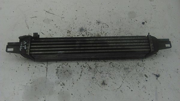 Heating element PEUGEOT BIPPER (AA_)
