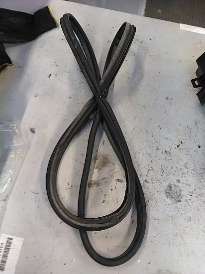 Diverse rubberen strips BMW 3 Touring (E91)