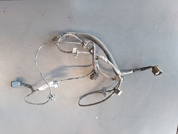 Kabelbaum hinten NISSAN QASHQAI II (J11, J11_)