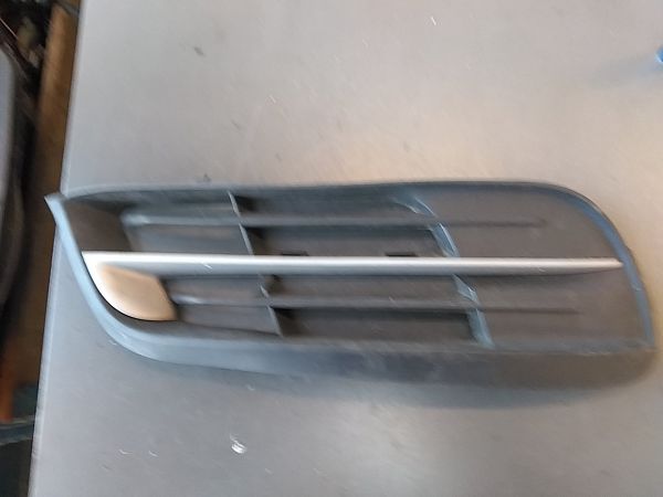 Bumper grille BMW 5 Touring (F11)