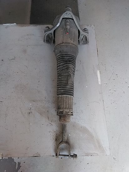 Luftfederbein / Pneumatisches Federbein AUDI A8 D3 (4E2, 4E8)