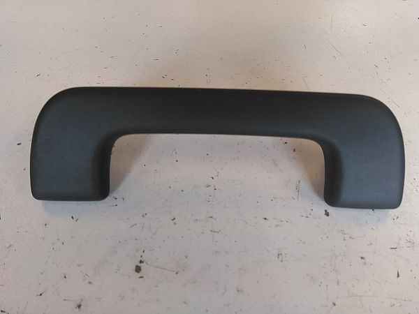 Roof grab handles