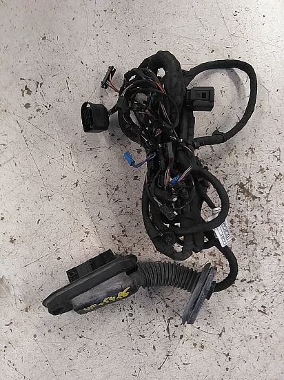 Kabelbaum für Tür BMW 5 Touring (F11)