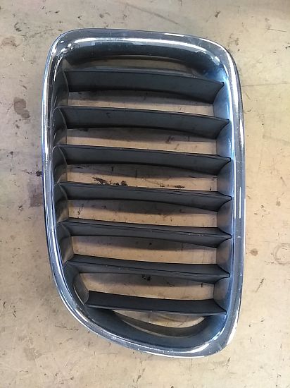 Grill BMW X1 (E84)