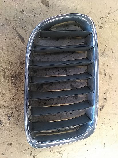 Grill BMW X1 (E84)