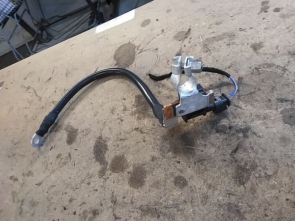 Negative earth cable battery