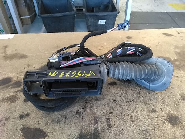 Kabelbaum für Tür BMW 3 Touring (F31)