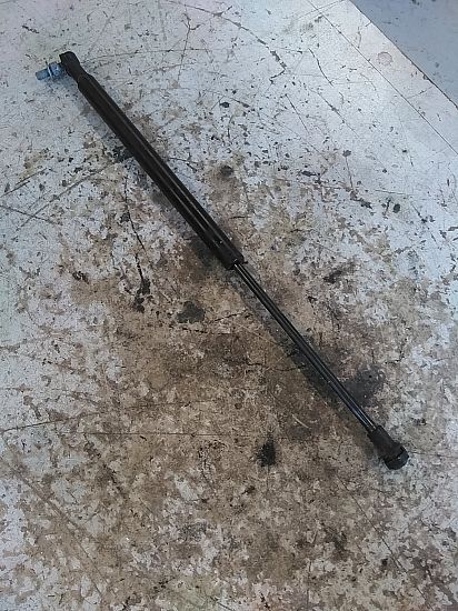 Tailgate gas strut SUZUKI IGNIS III (MF, FF)