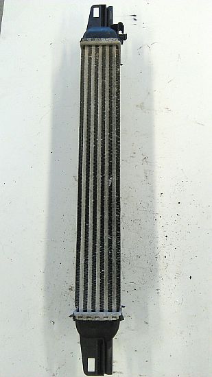 Heating element PEUGEOT BIPPER (AA_)