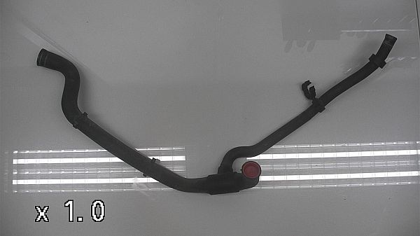 Radiator slange FIAT DOBLO Cargo (223_)
