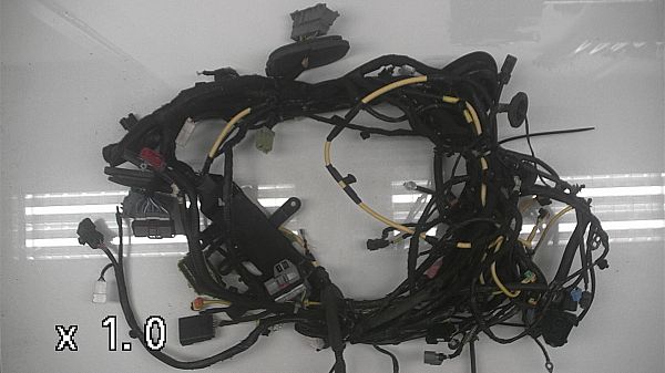 Wire network - dashboard OPEL