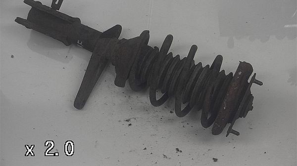 Federbein vorn LAND ROVER FREELANDER (L314)