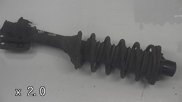 Fjederben - bag LAND ROVER FREELANDER (L314)