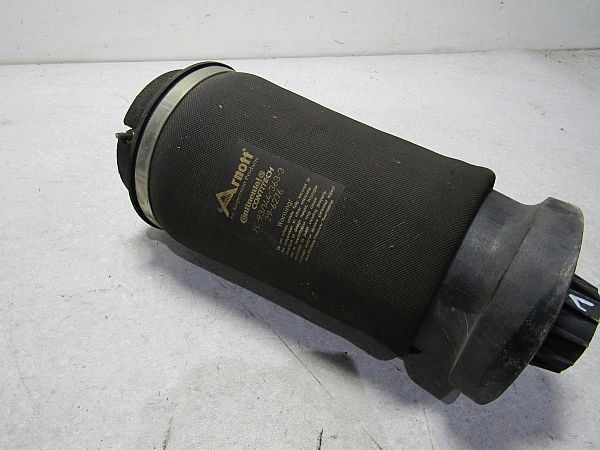 Luftfederbein / Pneumatisches Federbein MERCEDES-BENZ R-CLASS (W251, V251)