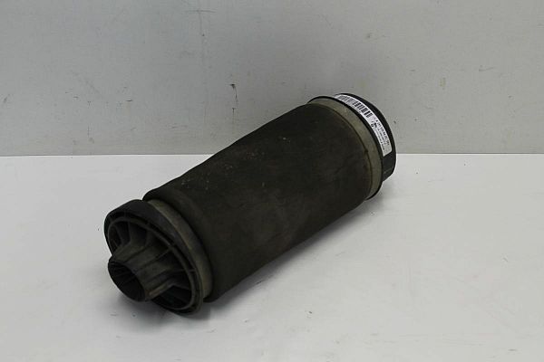 Federelement MERCEDES-BENZ R-CLASS (W251, V251)