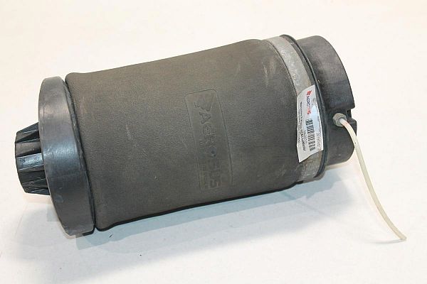 Federelement MERCEDES-BENZ R-CLASS (W251, V251)