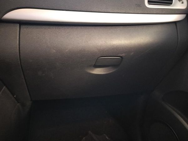 Handskerum RENAULT SCÉNIC III (JZ0/1_)