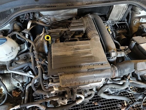 Motor SKODA FABIA III (NJ3)