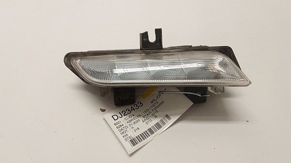 Tagfahrlicht RENAULT CLIO IV (BH_)