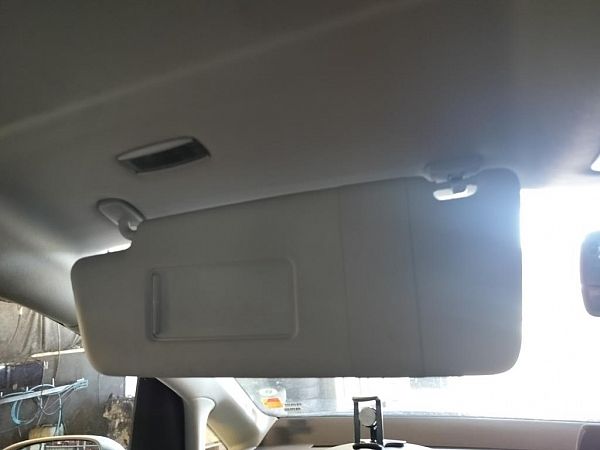 Solskjerm VW TOURAN (1T1, 1T2)