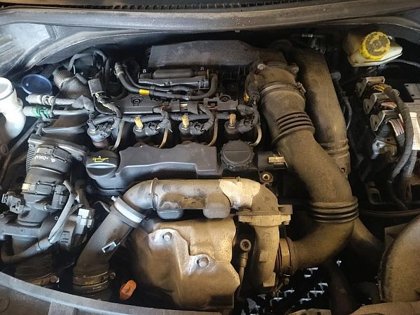 Motor