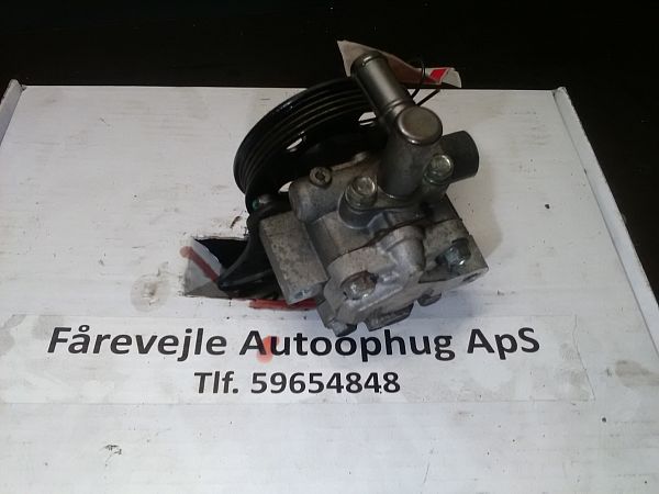 Power steering pump CHEVROLET AVEO / KALOS Hatchback (T250, T255)