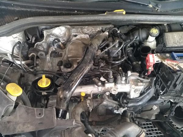 Motor RENAULT CLIO III Grandtour (KR0/1_)