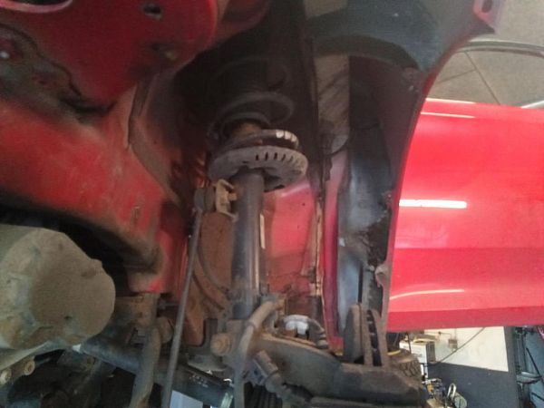 Coil spring mount